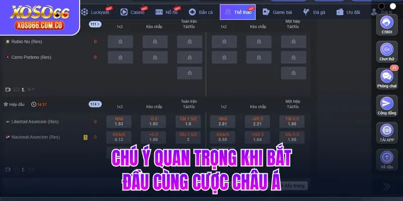 Chú ý quan trọng khi bắt đầu cùng cược Châu Á