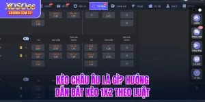 Kèo Châu Âu Là Gì? Hướng Dẫn Bắt Kèo 1x2 Theo Luật